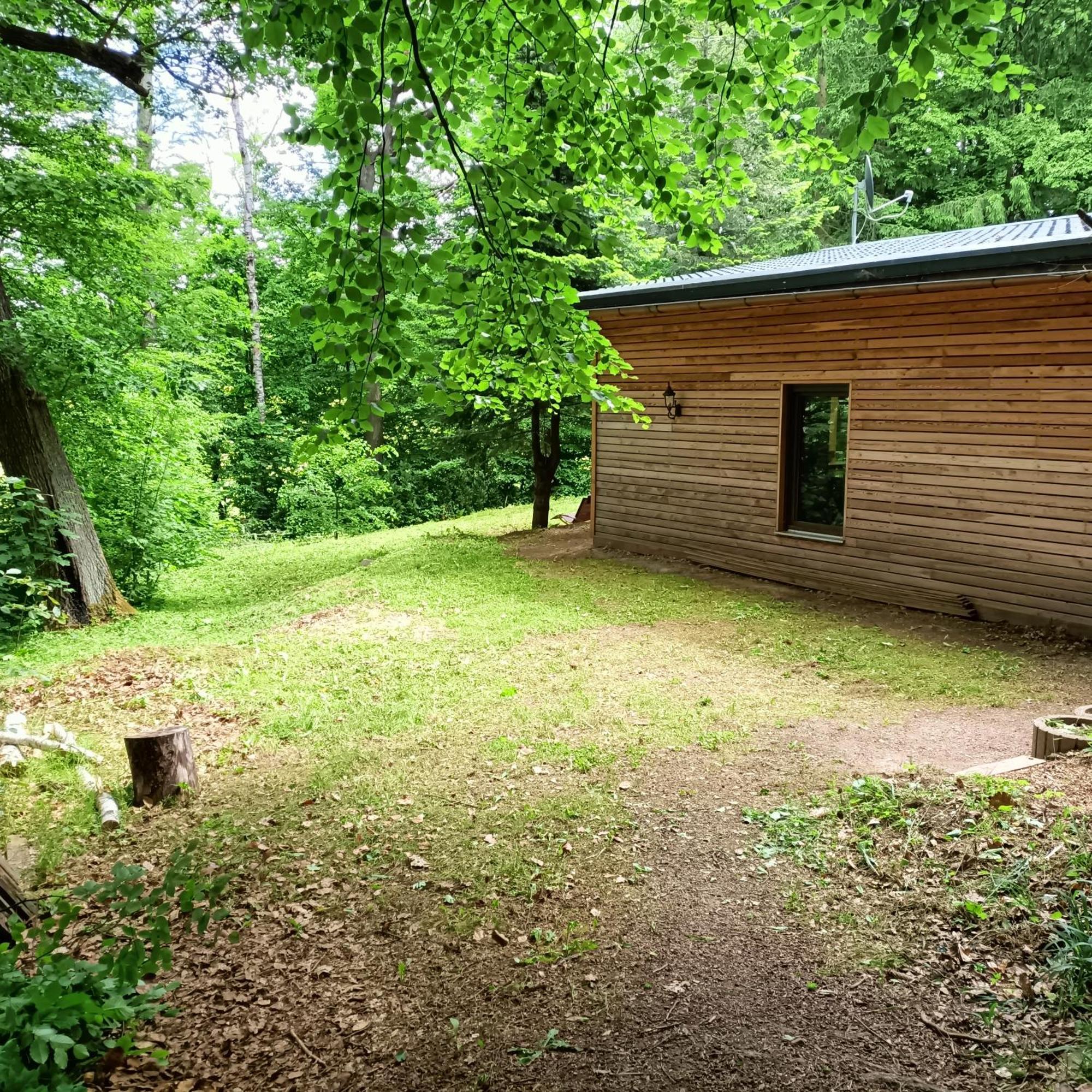 Waldhaus Hempe Vila Tabarz Exterior foto